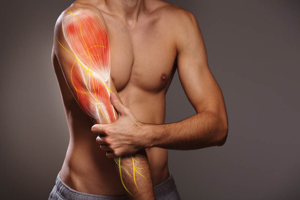 Muscle Injuries upper arm