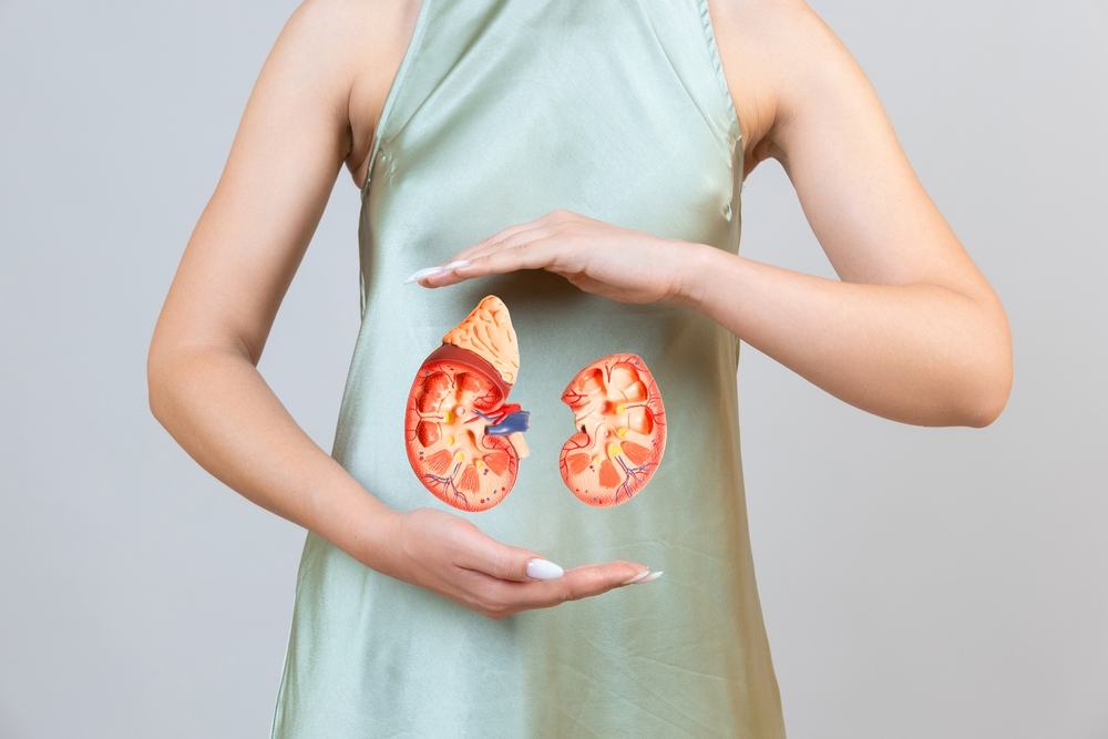 Can Kidney Failure Be Caused by a Car Accident